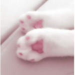 iixJenny7
