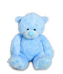 Teddy Team (TT)