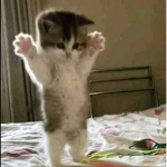 Pet_simulator_PH