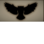 The hawk training camp