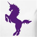 Purple Unicorns