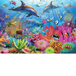 Explore The ocean [NEW OBBY]
