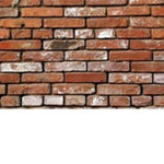 scarywall group