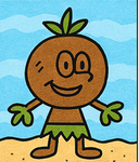 Coconuts are us