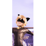 Chat noir fanpage