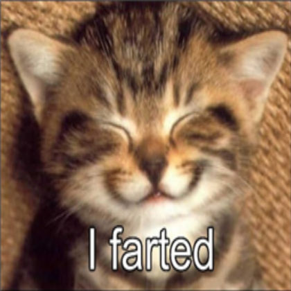 funny-cat-that-farted Roblox decal