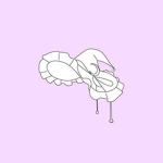 냥 그룹!