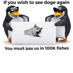 Epic doge and penguins