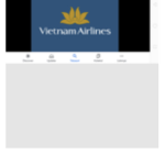 FlyDominus Airways