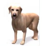 Wipes poop