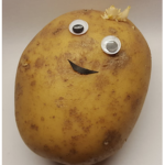 the rise of potatoes