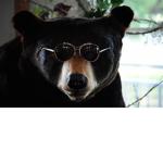 BEAR PRODUCTIONS bc