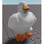The Quacker’s