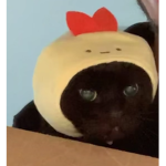 Thė Twînkîës