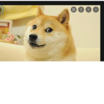 Doges and axelotels