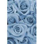 FlowerplayzYT
