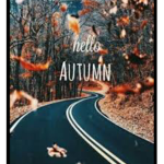 Day of you guys