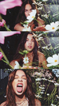 Eva's tulips <3