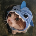 fishywkitty