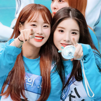 ✧ 🐬  ༉ 