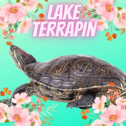 Lake Terrapin [🌸SPRING!🌼]