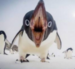 the epic silly goobers