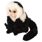 THE MONKE'S FAN CLUB