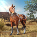 Wild horse Roleplay