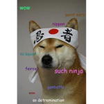 Ninja Doges
