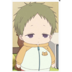 Hamster Bor
