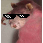 Rat RepubIic