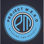 PROJECT: MESO