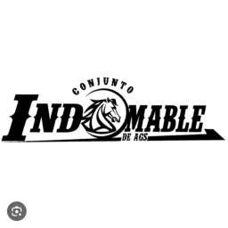 ESTADIO DE INDOMABLE icon