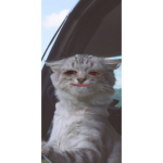- w & c -