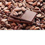 Cocoa Beans!
