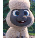 COTTON_GRUP