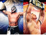 Create A  WWE Tag Team