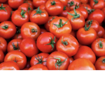 Tomato god squad