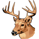 Antelope ®