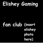 Elishey Gaming