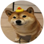 Cool doggo‘s only