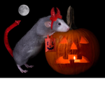 The Devil Rat Gang
