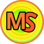 MS Technologies
