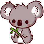 koalaaaasss