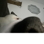 DAN0OBYS2