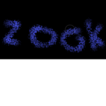 The Zooks