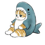 Cats love sharks