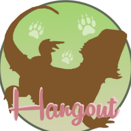 Hangout
