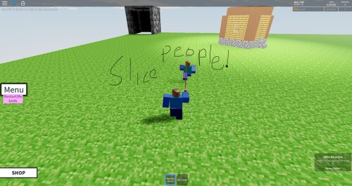 A Minecraft World
