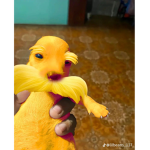 ANIME GANG TV